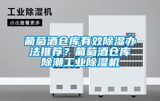葡萄酒倉庫有效除濕辦法推薦？葡萄酒倉庫除潮工業除濕機