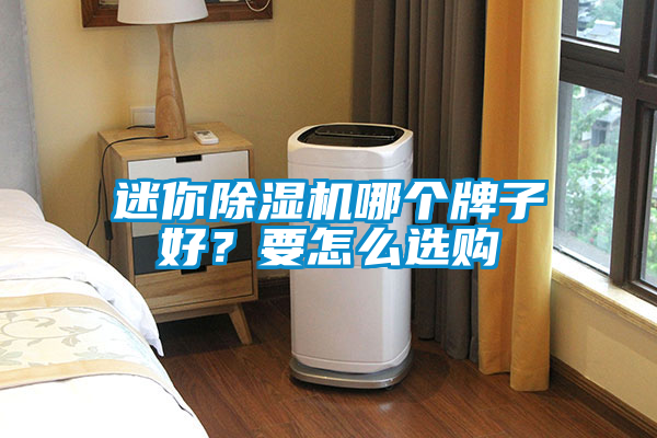 迷你除濕機哪個牌子好？要怎么選購