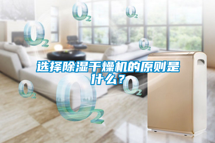 選擇除濕干燥機的原則是什么？