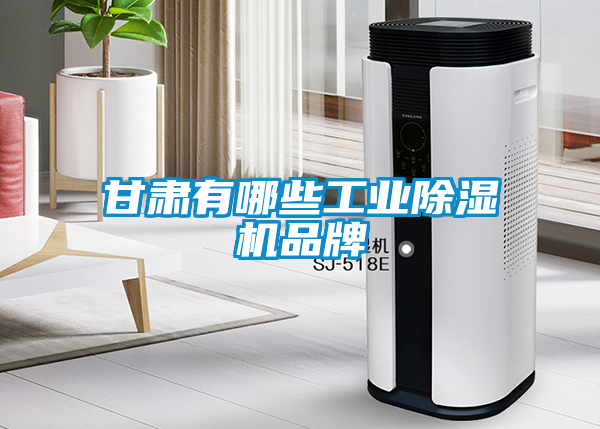 甘肅有哪些工業除濕機品牌