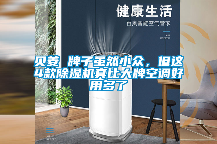 貝菱 牌子雖然小眾，但這4款除濕機真比大牌空調好用多了