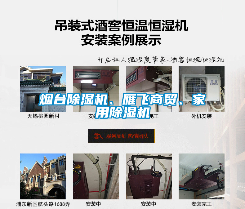 煙臺除濕機、雁飛商貿、家用除濕機