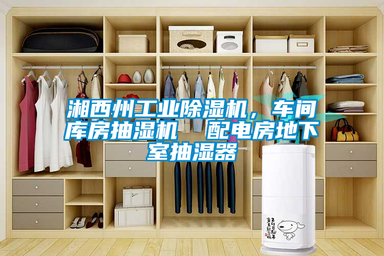 湘西州工業除濕機，車間庫房抽濕機  配電房地下室抽濕器
