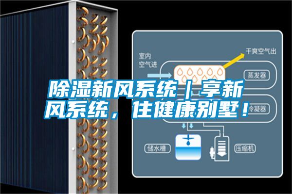 除濕新風系統｜享新風系統，住健康別墅！