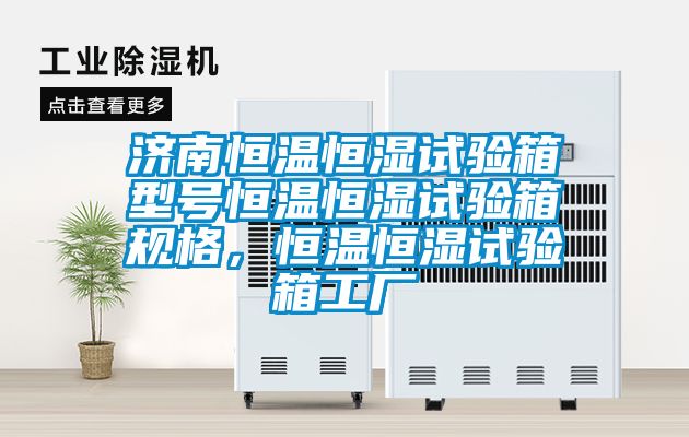 濟南恒溫恒濕試驗箱型號恒溫恒濕試驗箱規格，恒溫恒濕試驗箱工廠