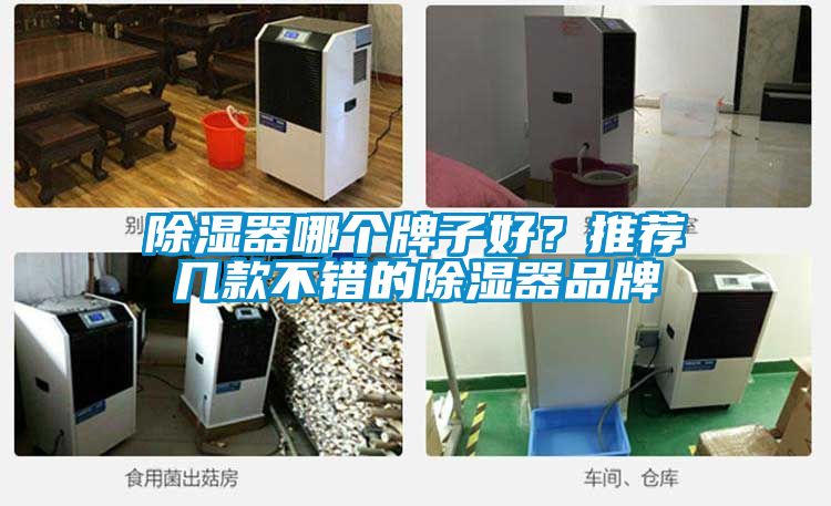 除濕器哪個牌子好？推薦幾款不錯的除濕器品牌