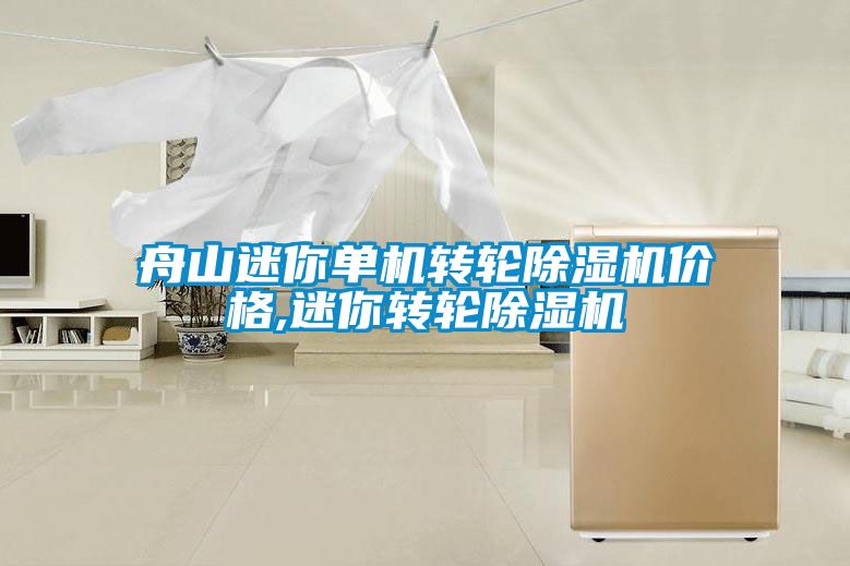 舟山迷你單機轉輪除濕機價格,迷你轉輪除濕機