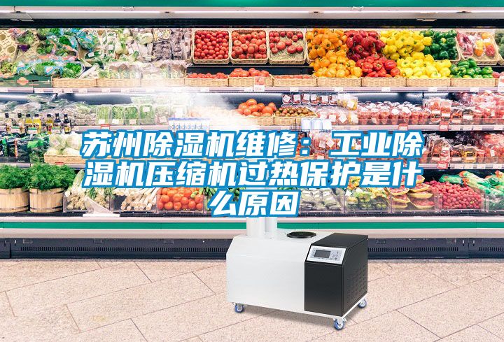 蘇州除濕機維修：工業除濕機壓縮機過熱保護是什么原因