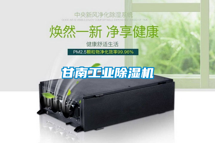 甘南工業除濕機