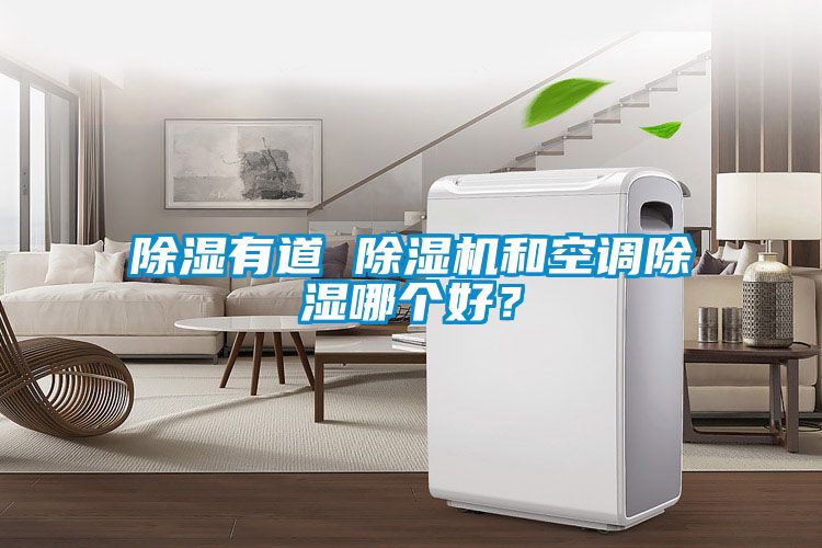 除濕有道 除濕機和空調除濕哪個好？