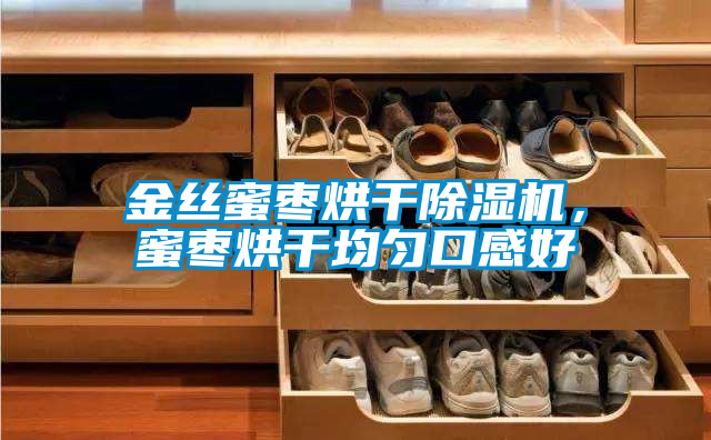 金絲蜜棗烘干除濕機，蜜棗烘干均勻口感好