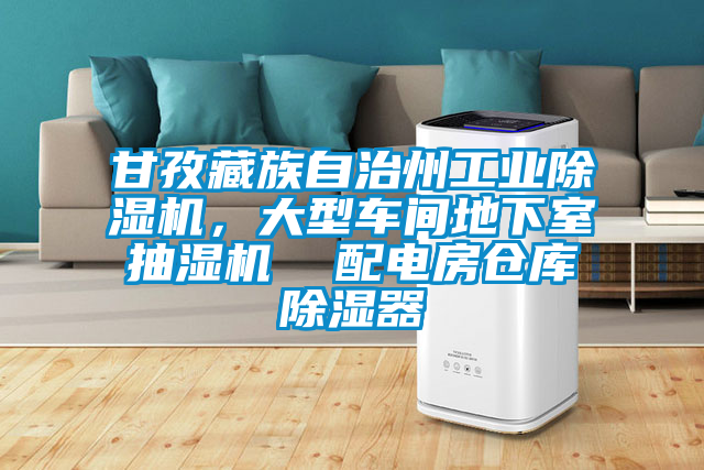 甘孜藏族自治州工業除濕機，大型車間地下室抽濕機  配電房倉庫除濕器