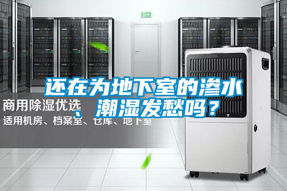 還在為地下室的滲水、潮濕發愁嗎？