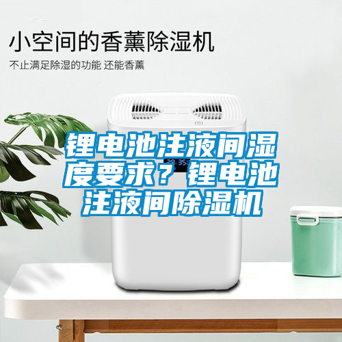 鋰電池注液間濕度要求？鋰電池注液間除濕機