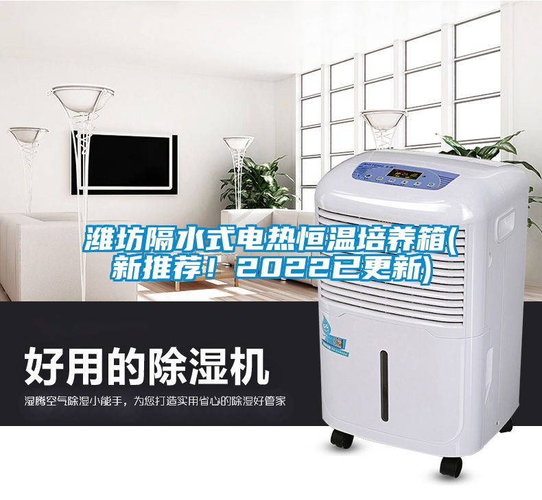 濰坊隔水式電熱恒溫培養箱(新推薦！2022已更新)