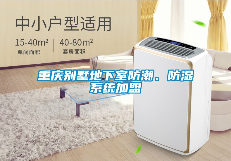 重慶別墅地下室防潮、防濕系統加盟