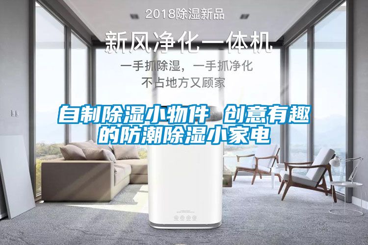 自制除濕小物件 創意有趣的防潮除濕小家電