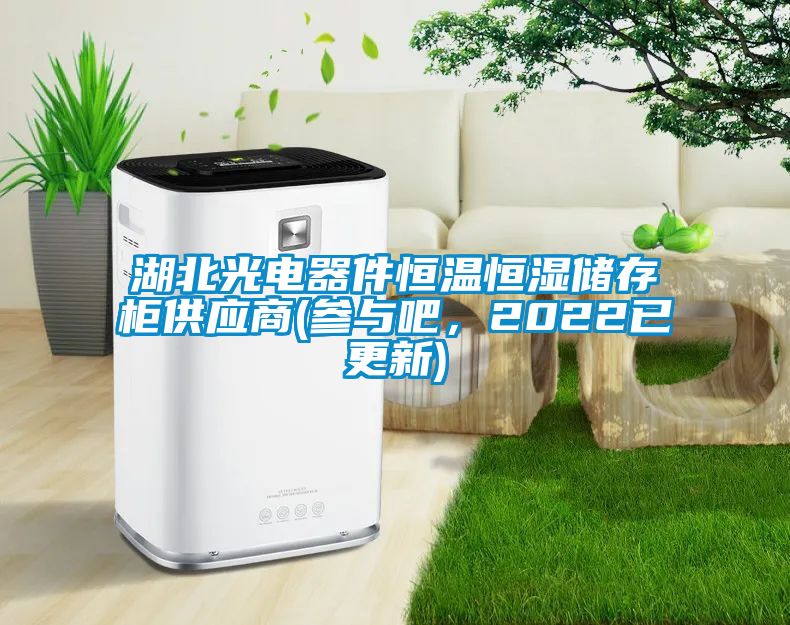 湖北光電器件恒溫恒濕儲存柜供應商(參與吧，2022已更新)