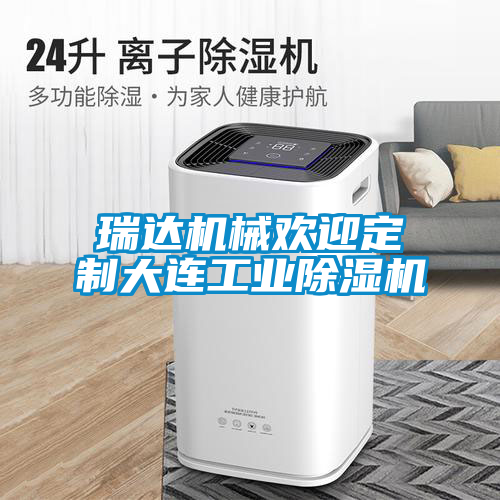 瑞達機械歡迎定制大連工業除濕機