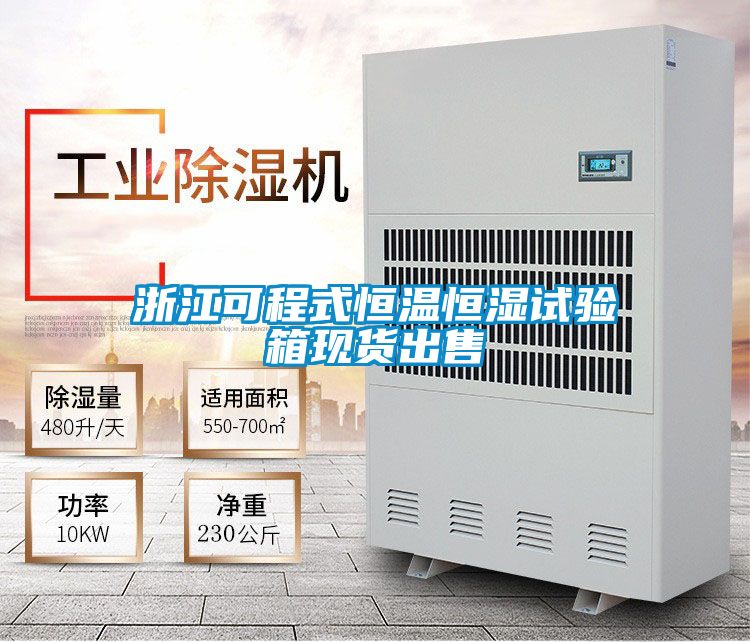 浙江可程式恒溫恒濕試驗箱現貨出售