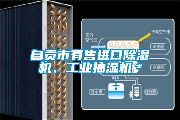 自貢市有售進口除濕機、工業抽濕機＊
