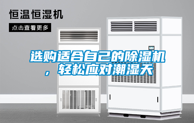選購適合自己的除濕機，輕松應對潮濕天