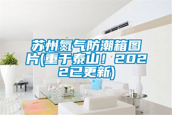 蘇州氮氣防潮箱圖片(重于泰山！2022已更新)