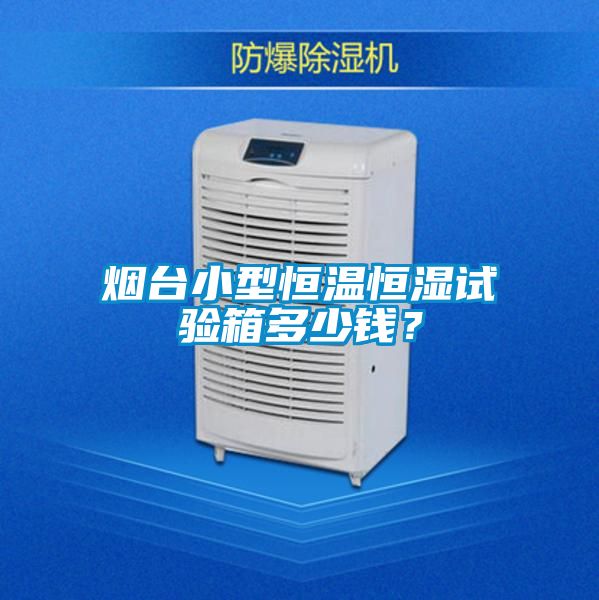 煙臺小型恒溫恒濕試驗箱多少錢？