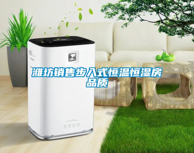 濰坊銷售步入式恒溫恒濕房品質