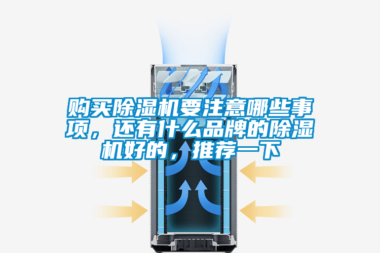 購買除濕機要注意哪些事項，還有什么品牌的除濕機好的，推薦一下