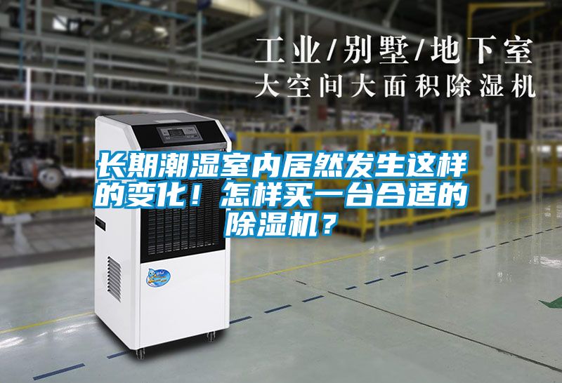 長期潮濕室內居然發生這樣的變化！怎樣買一臺合適的除濕機？
