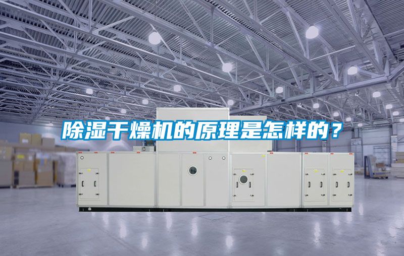 除濕干燥機的原理是怎樣的？
