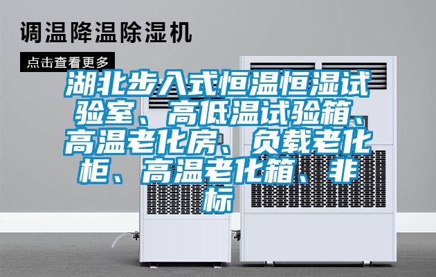 湖北步入式恒溫恒濕試驗室、高低溫試驗箱、高溫老化房、負載老化柜、高溫老化箱、非標
