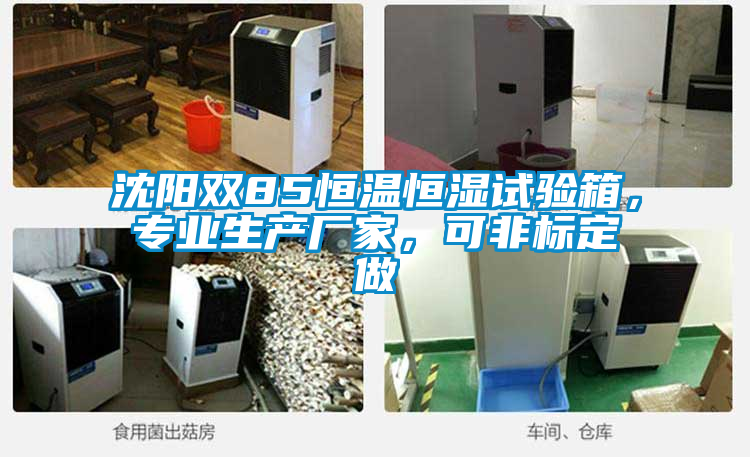 沈陽雙85恒溫恒濕試驗箱，專業生產廠家，可非標定做