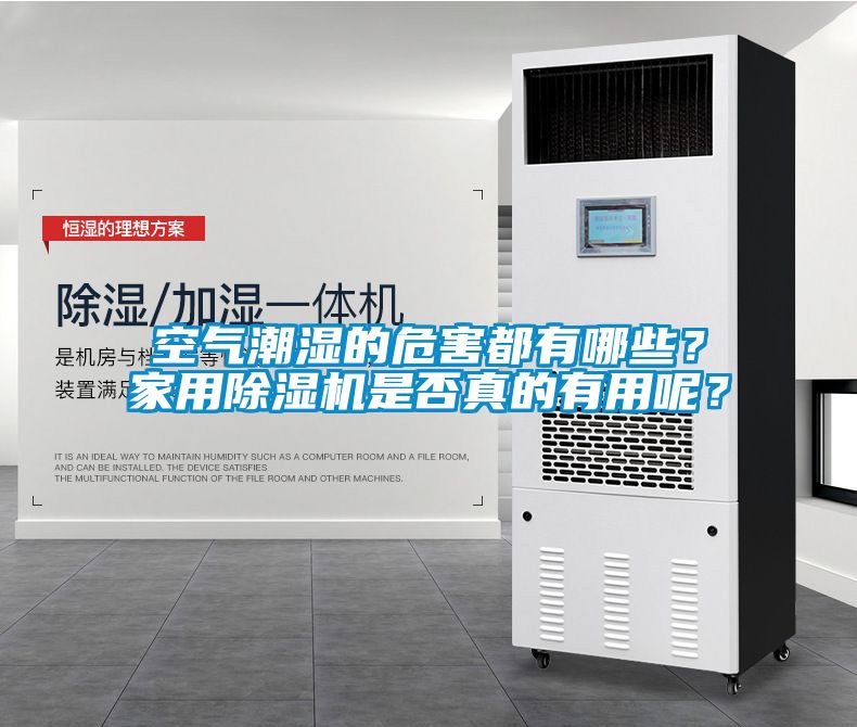 空氣潮濕的危害都有哪些？家用除濕機是否真的有用呢？