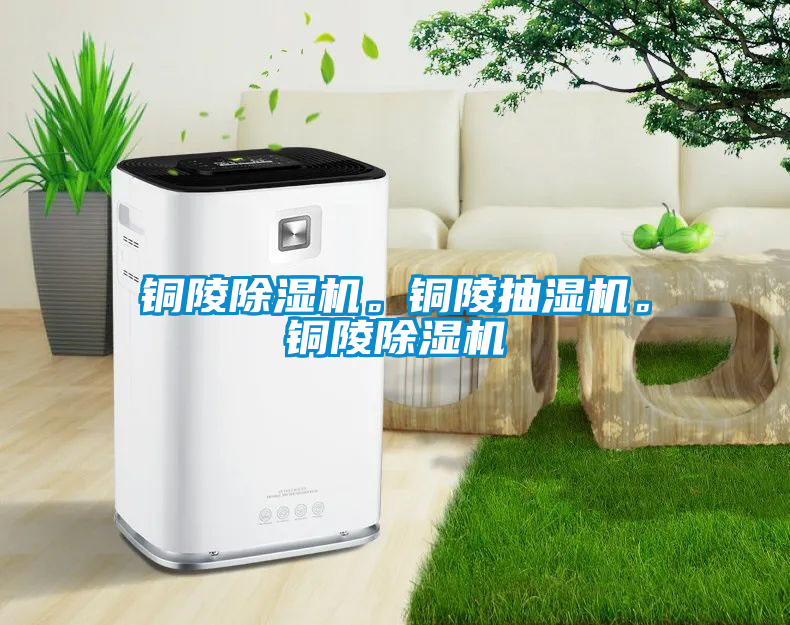 銅陵除濕機。銅陵抽濕機。銅陵除濕機
