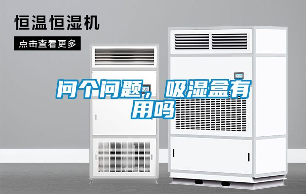 問個問題，吸濕盒有用嗎