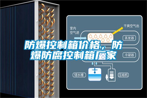 防爆控制箱價格，防爆防腐控制箱廠家
