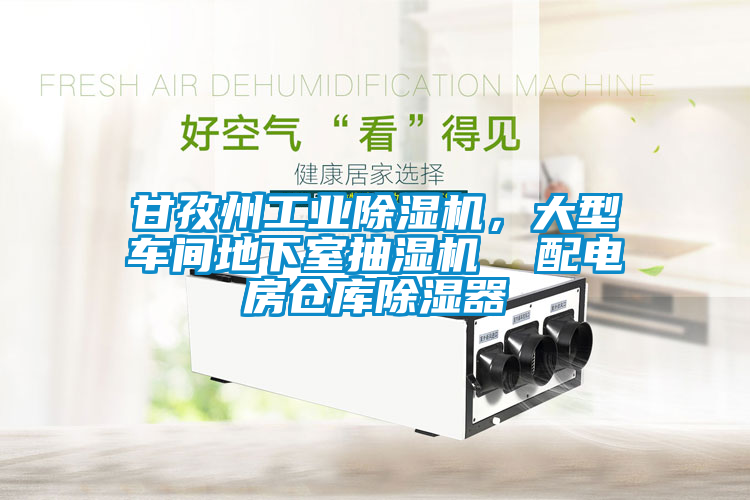 甘孜州工業除濕機，大型車間地下室抽濕機  配電房倉庫除濕器