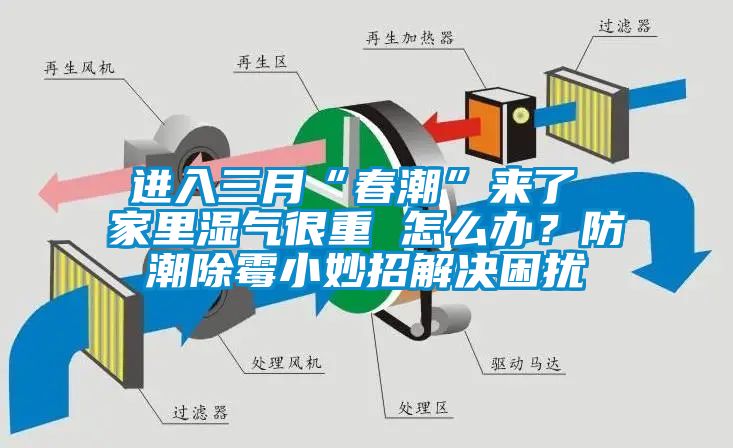 進入三月“春潮”來了 家里濕氣很重 怎么辦？防潮除霉小妙招解決困擾