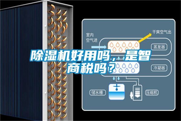 除濕機好用嗎，是智商稅嗎？