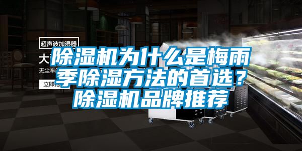 除濕機為什么是梅雨季除濕方法的首選？除濕機品牌推薦