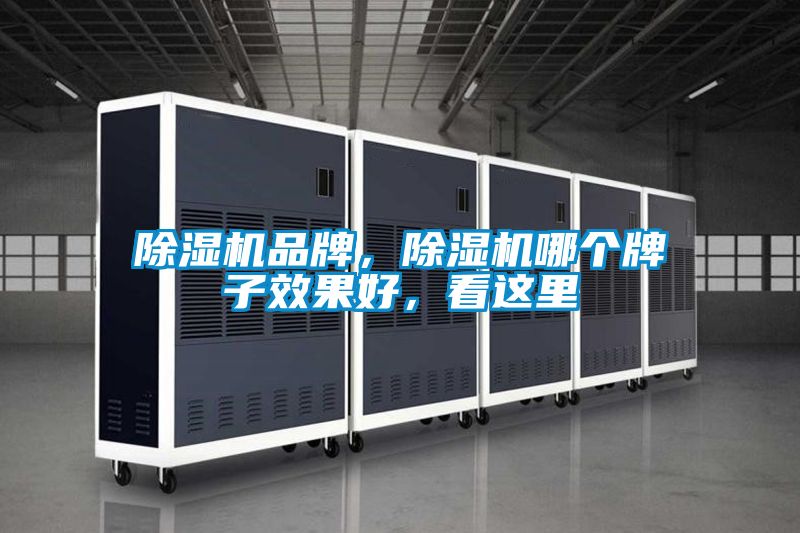 除濕機品牌，除濕機哪個牌子效果好，看這里
