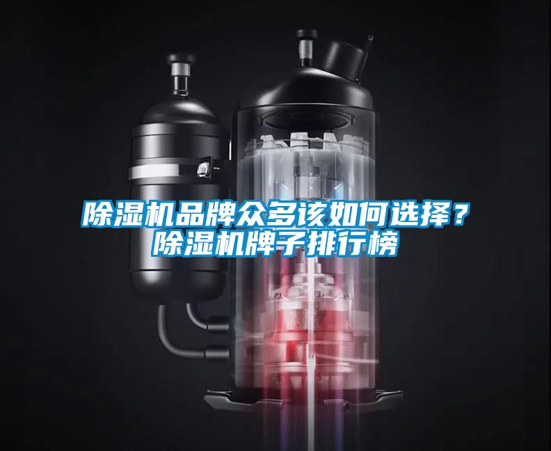 除濕機品牌眾多該如何選擇？除濕機牌子排行榜