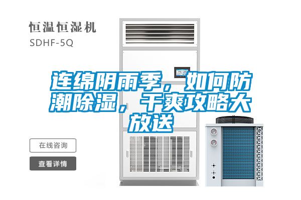 連綿陰雨季，如何防潮除濕，干爽攻略大放送