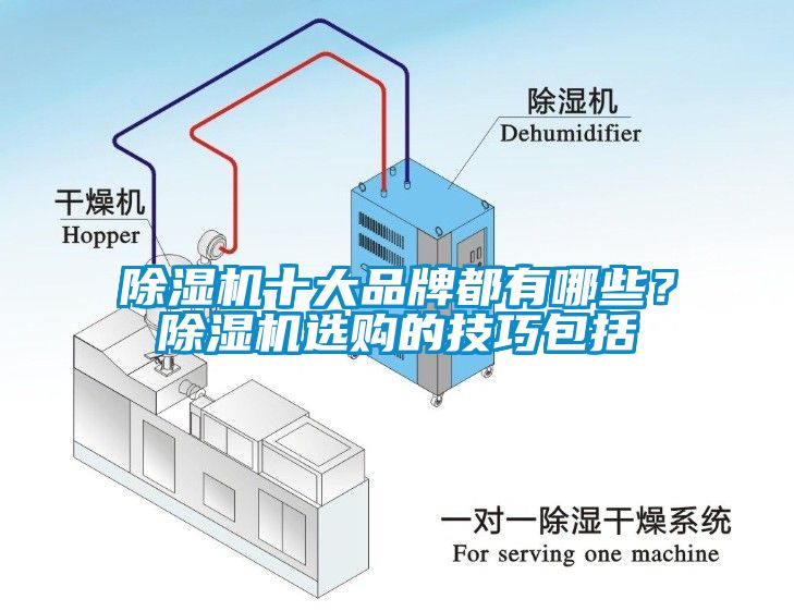 除濕機十大品牌都有哪些？除濕機選購的技巧包括
