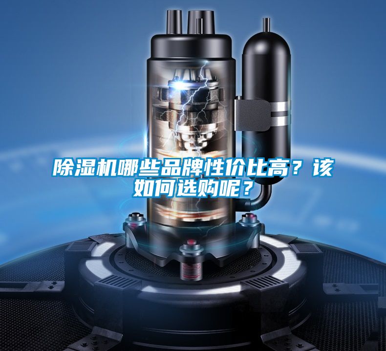 除濕機哪些品牌性價比高？該如何選購呢？