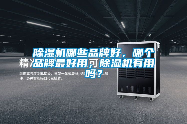 除濕機哪些品牌好，哪個品牌最好用，除濕機有用嗎？
