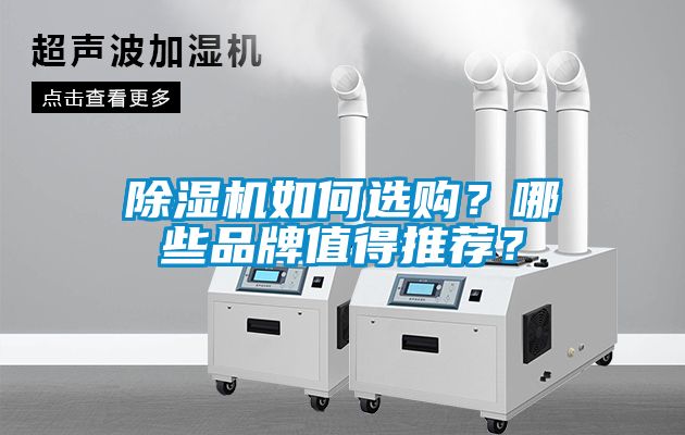 除濕機如何選購？哪些品牌值得推薦？
