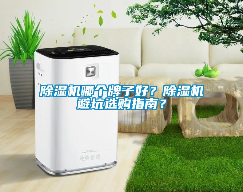 除濕機哪個牌子好？除濕機避坑選購指南？
